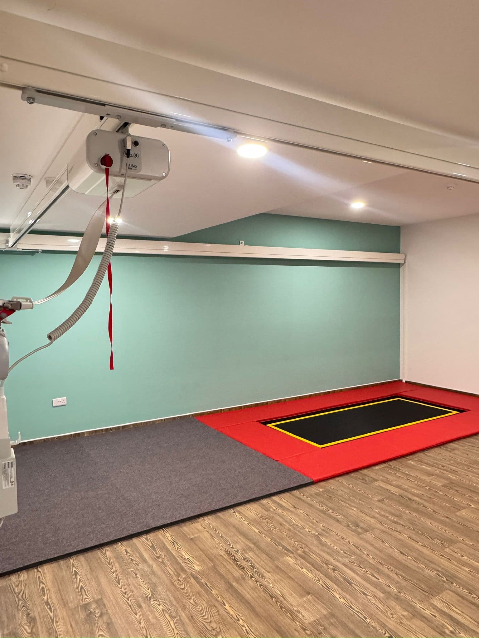 Trampoline room equipped with an accessibility hoist